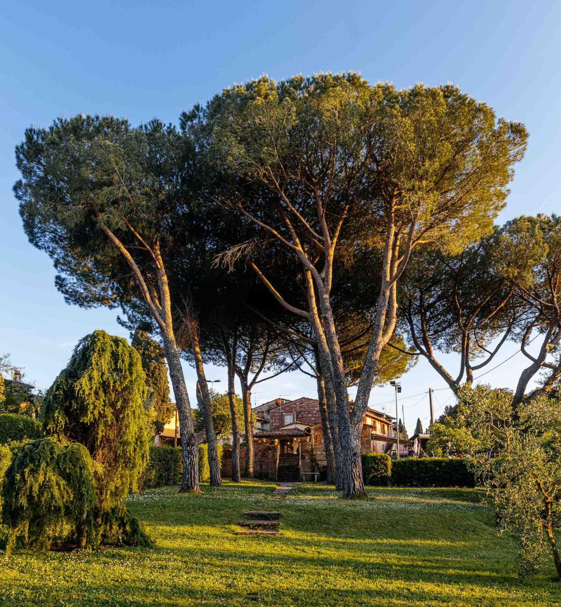 Collebrunacchi B&B San Miniato Buitenkant foto